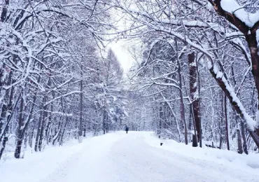 уборка снега